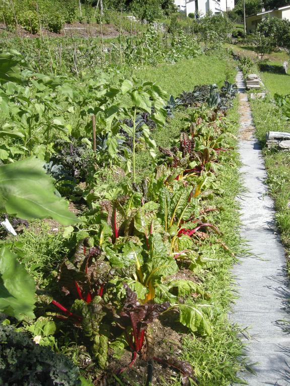 Eco-Hotel Cristallina Coglio المظهر الخارجي الصورة